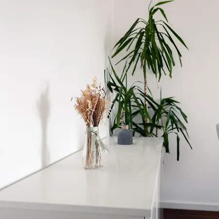 Nature Apartment *